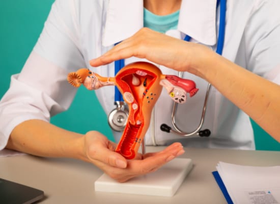 Ayurvedic Fallopian Tube Blockage Treatment in Kothrud Pune
