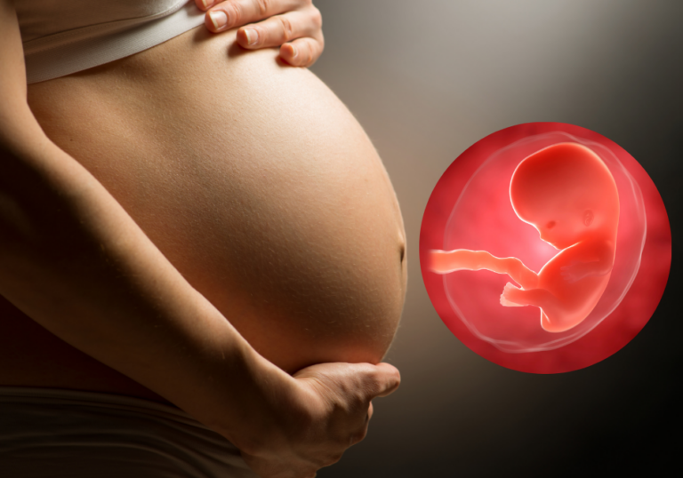 Enhances Fetal Brain Development & Emotional Stability