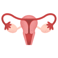 Female Infertility Treatment